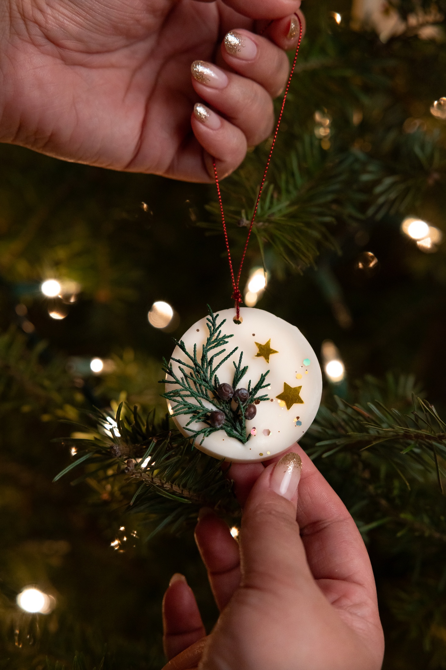 Wax Sachets: ¡qué son y por qué las necesitas!