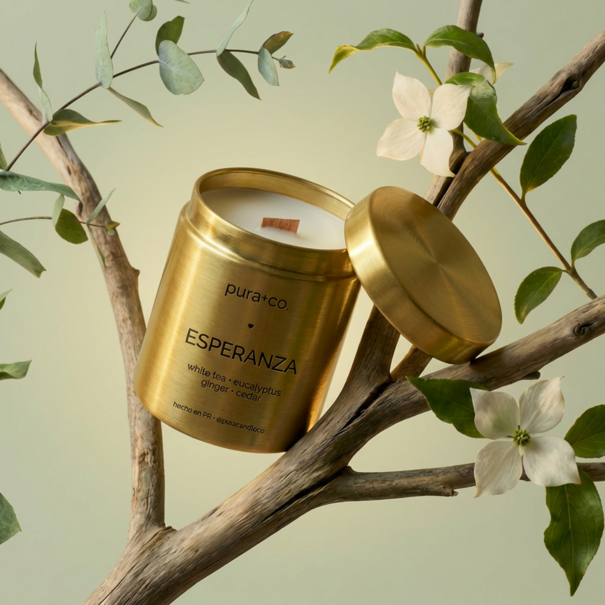 Pura+Co | Vela Artesanal | Coco-apricot wax | Cera Natural | Vegan | Natural Candle | Clean Candle |  White Tea and Eucalyptus Scent | Handmade Skin Care | Puerto Rico