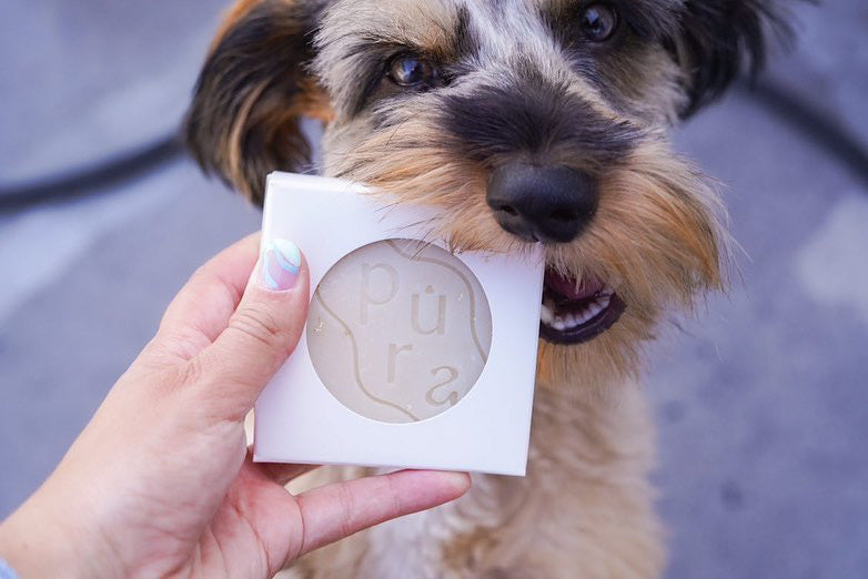 Dog Shampoo Bar